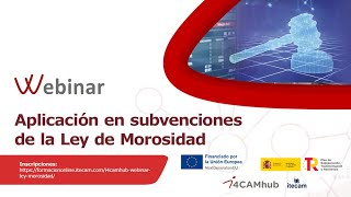 quotAplicación en subvenciones de la Ley de Morosidadquot WEBINAR I4CAMhub [upl. by Osyth]