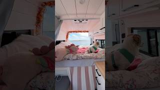 Vanlife by the ocean asmr [upl. by Eybbob]