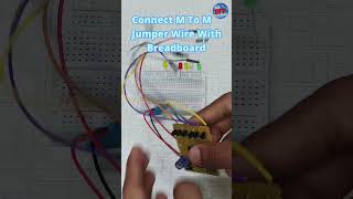 How To Do Connection Of 6 LED Chaser Circuit With Adjustable Speed Circuit CD4017 And 555 Timer IC [upl. by Greenebaum]