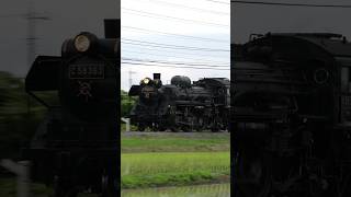 【4K縦動画】C58363 門デフ！秩父鉄道・SLパレオ 明戸〜大麻生通過 ChichibuRailway Steam locomotive Class C58 quotPALEO EXPRESSquot [upl. by Yuu]