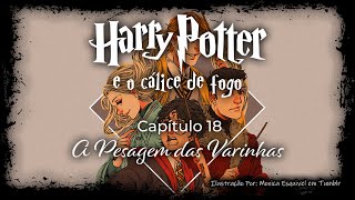 Harry Potter e o Cálice de Fogo  Capitulo 18  A Pesagem das Varinhas [upl. by Philo]