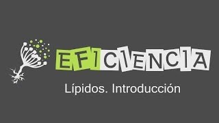 LÍPIDOS INTRODUCCIÓN Características Clasificación y Funciones en los Seres Vivos [upl. by Loralie168]