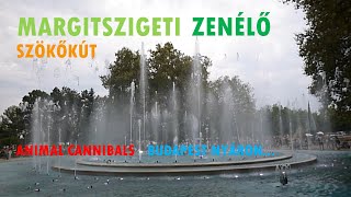 Margitszigeti Zenélő Szökőkút  Animal Cannibals  Budapest nyáron [upl. by Leifeste]