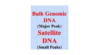 Satellite DNA microsatellite and minisatellite  NCERT NEET [upl. by Kerwin]