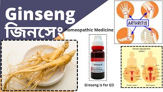 Ginseng  জিনসেং  Materia Medica  Learn Ginseng easily [upl. by Alleris]