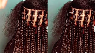 TRESSE BIOLOGIQUETRESSE BIONOTLLESRASTA KONGO CLEAN 😎 [upl. by Kcuhc178]