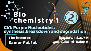 Biochemistry 1 Ch1 part 2  Purine Nucleotides synthesis breakdown and salvage [upl. by Grosmark]