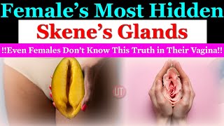 Know about Skenes Glands  Female Unknow Truth  Important Glands [upl. by Edea]