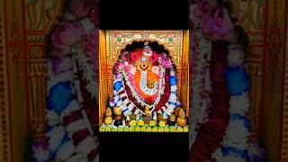 Mari Papa ne Ganpati online amchaganpatibappa ganpatisongs cutebaby bappamoryaremarathi🙏🙏🌺🌺🔱🔔🌺🌺 [upl. by Annaya]