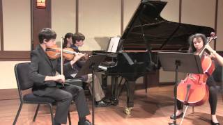 Reinecke Trio for Piano Violin Cello [upl. by Bonis]