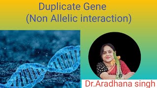 Duplicate Gene Non Allelic interaction [upl. by Nivram]