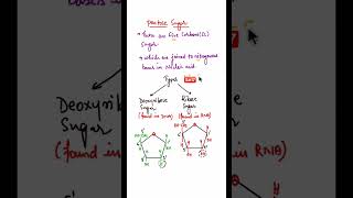 Deoxyribose amp Ribose Sugar shorts pentosesugar ribosesugar deoxyribosesugar [upl. by Tehc566]