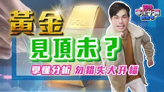 黃金見頂未？金價大升幕後黑手是誰？兩個維度分析，學懂後不再錯失大周期【零至千萬 140】 [upl. by Jopa419]