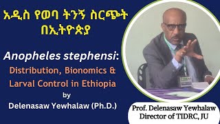 Anopheles stephensi distribution bionomics amp larval control in Ethiopia by Prof Delenasaw Yewhalaw [upl. by Auberon123]