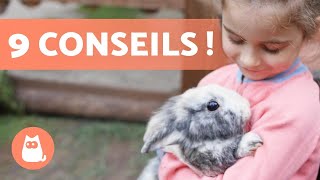 Comment GAGNER la CONFIANCE dun LAPIN  🐰🥕 9 conseils clés [upl. by Idalla]