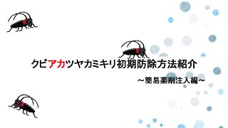 クビアカツヤカミキリ初期防除方法紹介～簡易薬剤注入編～ [upl. by Aydidey]