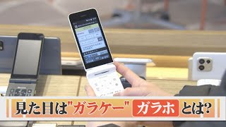 「ガラケー」×「スマホ」…４Ｇ対応の「ガラホ」が普及 [upl. by Ecirb]