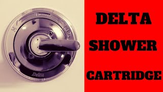 How To Replace A Delta Shower Cartridge  Do It Yourself [upl. by Anitaf]