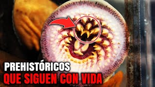 10 Animales PREHISTÓRICOS que hoy en día siguen con VIDA  ¡Te sorprenderá el último ANIMAL [upl. by Lateehs]