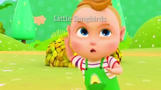 Hide and seek for kids song  Little Songbirds Nursery rhymes for kids song [upl. by Bickart]