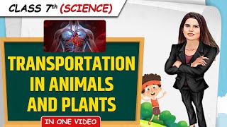 Transportation in Animals and Plants  Full Chapter in 1 Video  Class 7th Science  Junoon Batch [upl. by Aened175]