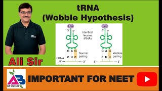 tRNA  Wobble Hypothesis by Crick Inosine Base Economy of tRNA molecules [upl. by Horton]