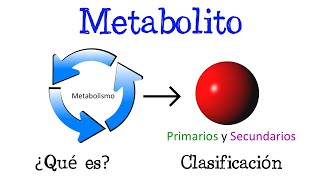 🌐 ¿Qué es un Metabolito Y sus tipos Primarios y Secundarios 🌐Fácil y Rápido  BIOLOGÍA  QUÍMICA [upl. by Anatollo610]