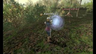 FFXI  Blue Magic  Winds of Promyvion [upl. by Fenella119]