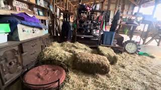 Our homestead barn stall coop livestock guardian puppies spaces [upl. by Dibbrun564]