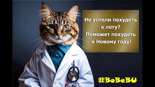 Диетолог Муська составит и вам диету Запись на консультацию круглосуточно [upl. by Sari]