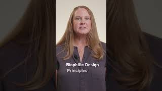 What is a Biophilic Workshop sustainablearchitecture interiordesign sustainablebuilding [upl. by Pengelly]