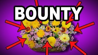 💐 Learn English Words  BOUNTY  Meaning Vocabulary with Pictures and Examples [upl. by Gauldin]