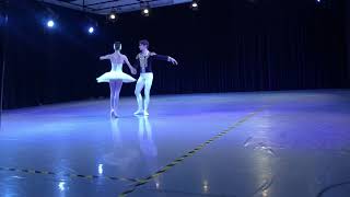 Swan Lake Pas De Deux con Gabriel Capizzi [upl. by Nryhtak31]