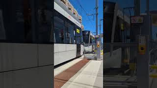 TTCMetrolinx Flexity Freedom LRV Training On Line 5 ttc toronto transit lightrail [upl. by Heuser]