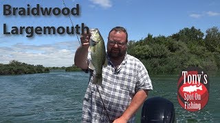 Braidwood Largemouth [upl. by Airun]