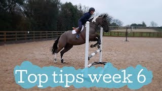 A simple showjumping exercise Horse riding Top Tips Week 6 [upl. by Nesral]