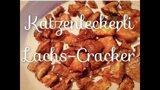 Gesunde Katzenleckerli Rezept LachsCracker [upl. by Sivahc415]