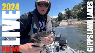 2024 BREAM Gippsland Lakes  Day 1 [upl. by Stacee]