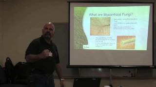 What are Mycorrhizal Fungi and How Do They Benefit Your Plants [upl. by Annagroeg]