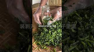 萝卜打下来的底叶拿来制作酸菜三碗米饭都嫌不够。关注我一起学种菜 种植小技巧 三农 [upl. by Ohcamac737]