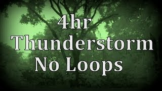 4hr Thunderstorm with No Loops quotSleep Soundsquot [upl. by Nachison]