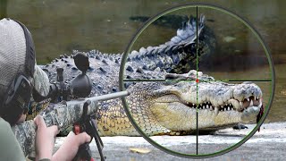 Hunting the African Nile crocodile with snipers Part Three [upl. by Blondell]