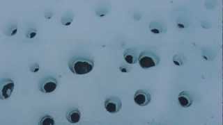 Cryoconite holes Greenland [upl. by Darcia9]