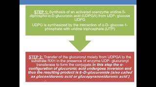 GLUCURONIDATION [upl. by Olegnad133]