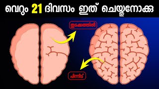 8 Neurobics Exercises For Increasing Brain Power  How To Increase Brain Power Malayalam Neurobics [upl. by Greg]