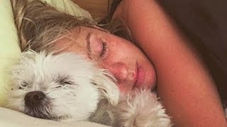 Dogs Want to Sleep With Owner Compilation NEW [upl. by Lindholm]