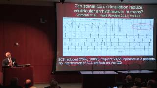 The Autonomic Nervous System and the Heart [upl. by Hudson669]