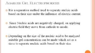 Nucleic Acid Quantification  DNA  RNA Quantification [upl. by Furlong788]