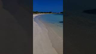 nature aruba youtubeshorts viralvideo 🇦🇼🌺💙 [upl. by Darla]