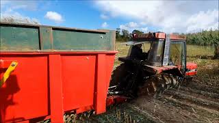 Ensilage à lancienne 2021 Selsoif St Sauveur le vicomte dernière partie [upl. by Massingill]